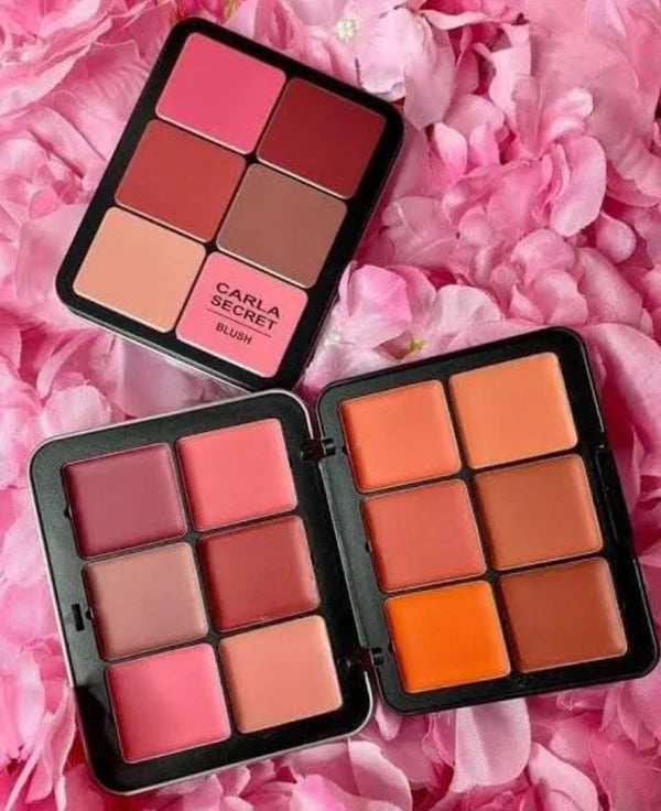 Colorme Carla Secret 12-Colour Cream Blush Palette - Buy Now Pakistan