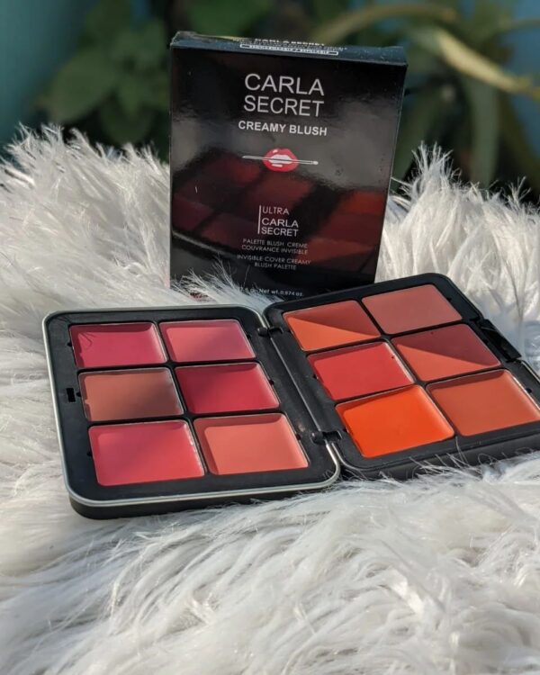 Colorme Carla Secret 12-Colour Cream Blush Palette - Buy Now Pakistan